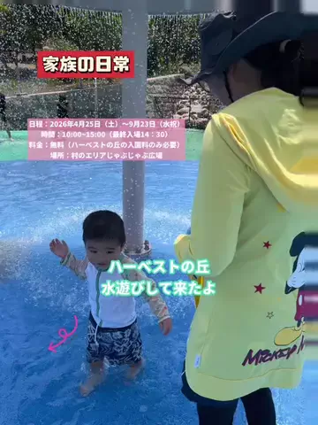 tomo_tani_LifeのTikTok投稿