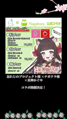 星神 かぐや💫🎋︎のTikTok投稿