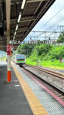 シュン | 大人の休日ガイドのTikTok投稿