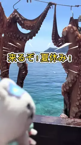 ふにちゃむ🩵🫧のTikTok投稿