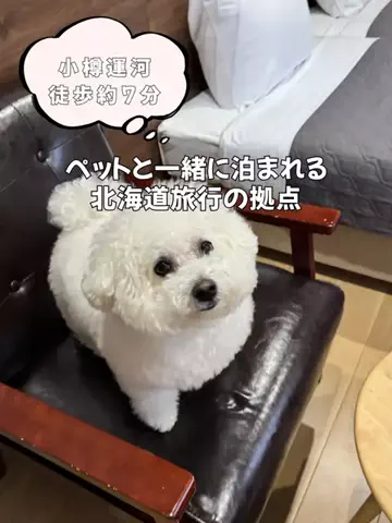 今日はもう帰らない女のTikTok投稿