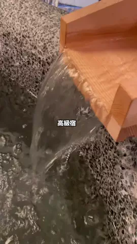 グルメちゃんの旅のTikTok投稿
