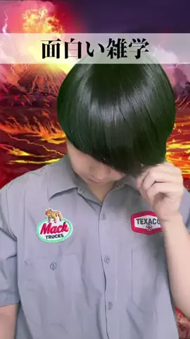 タカハシトワのTikTok投稿