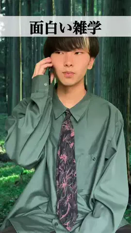 タカハシトワのTikTok投稿