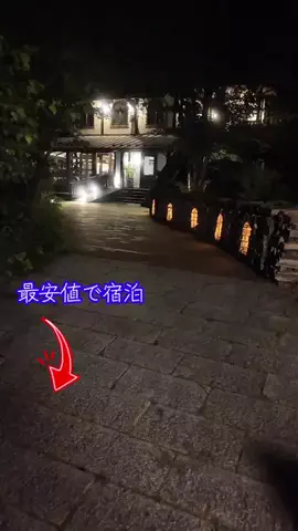 LittleBamboo.stのTikTok投稿
