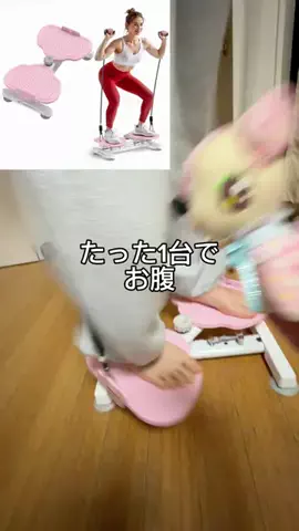 みやも人形のTikTok投稿