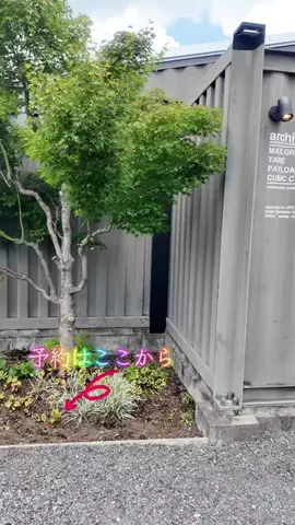 LittleBamboo.stのTikTok投稿