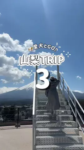 東京いいねちゃん👵🏻🤍のTikTok投稿