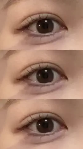 🐻のTikTok投稿