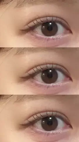 🐻のTikTok投稿