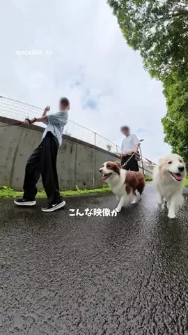 ルナとアリスのTikTok投稿