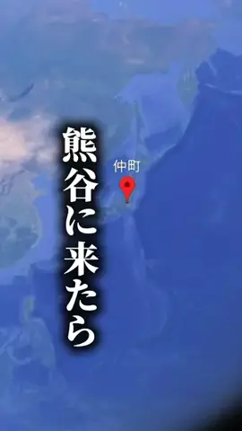 おけい / 埼玉を盛り上げるアラフォーのTikTok投稿