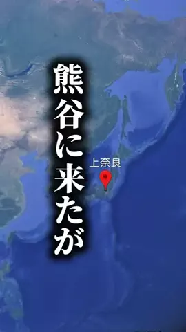 おけい / 埼玉を盛り上げるアラフォーのTikTok投稿