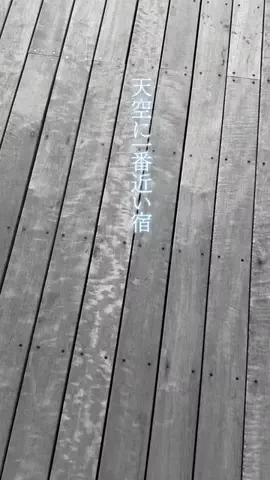 🍙りっぴー✈️のTikTok投稿