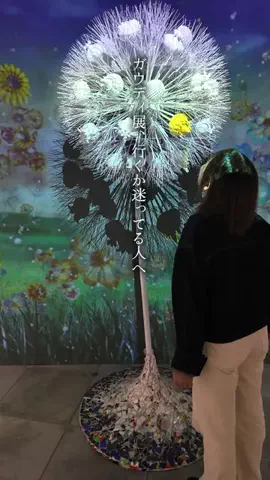 🍙りっぴー✈️のTikTok投稿