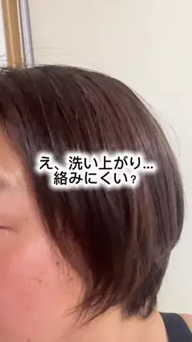 マイマイ24のTikTok投稿