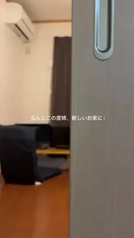 👶🏻🐾のTikTok投稿