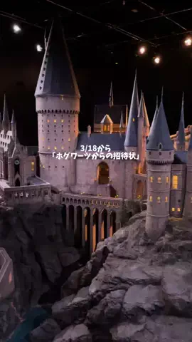 Kae🍎 | 旅とご褒美グルメのTikTok投稿