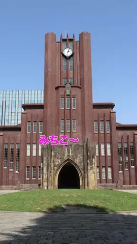 平成フラミンゴNICOのTikTok投稿