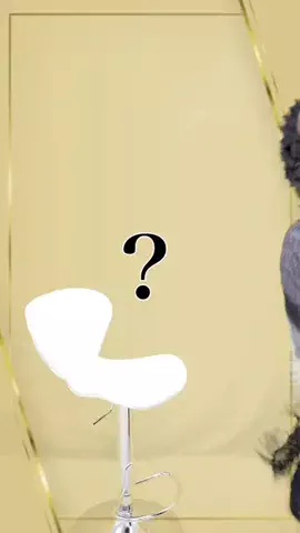 平成フラミンゴNICOのTikTok投稿