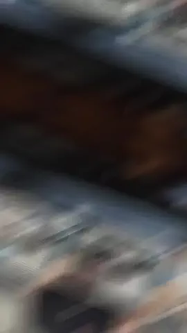 Jayの視点🐕のTikTok投稿