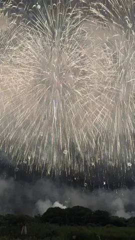 𝐌𝐀𝐑𝐈𝐍𓆉𓇼のTikTok投稿