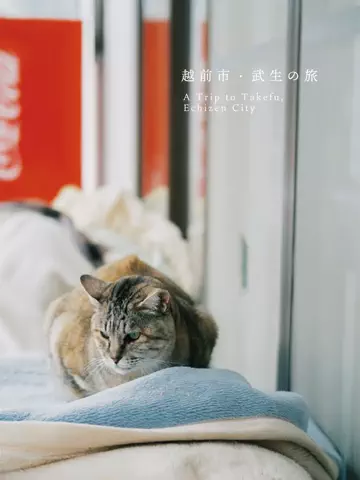 Kimura HinamiのTikTok投稿