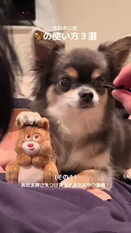 ちわおじのTikTok投稿