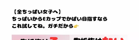 2世のTikTok投稿