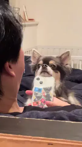 ちわおじのTikTok投稿
