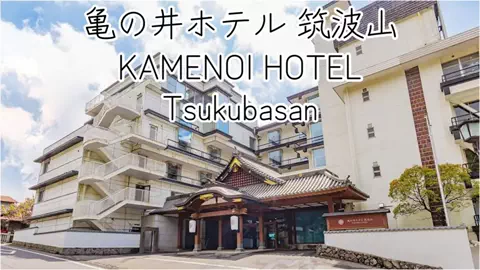 チキン(切り抜きもしてます)のTikTok投稿