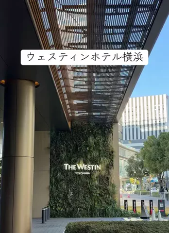 1分の真実のTikTok投稿