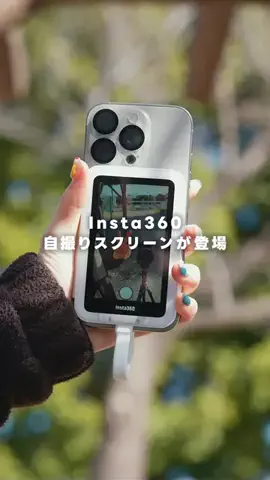 ポールの浪漫のTikTok投稿