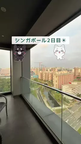 くろねこしろねこ😸海外旅行🌏のTikTok投稿