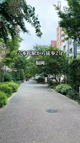 さくら⌇福岡グルメのTikTok投稿