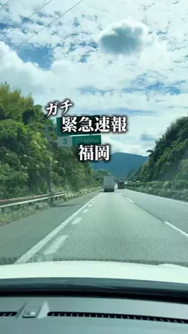 さくら⌇福岡グルメのTikTok投稿