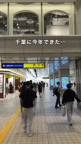 千葉県お出かけスポット🚗💨すずのTikTok投稿