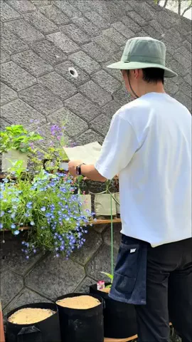 ばう｜お得に野菜を作るマメな夫のTikTok投稿