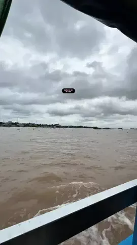 くろねこしろねこ😸海外旅行🌏のTikTok投稿