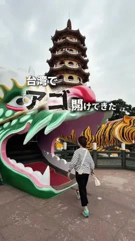 くろねこしろねこ😸海外旅行🌏のTikTok投稿