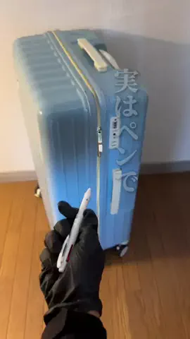 くろねこしろねこ😸海外旅行🌏のTikTok投稿