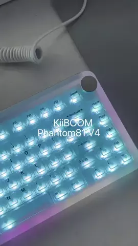 論のTikTok投稿