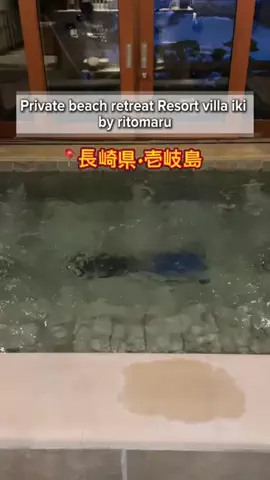 あんずのTikTok投稿