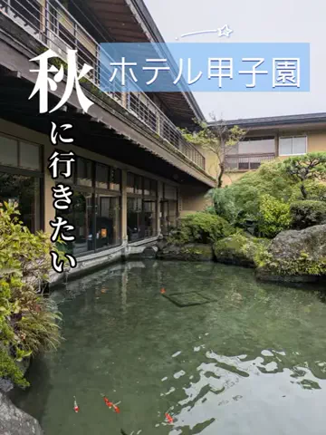 あんずのTikTok投稿