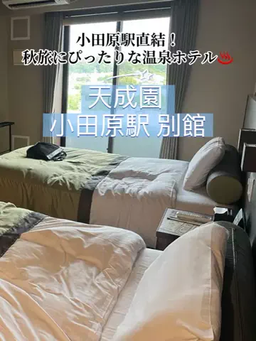 あんずのTikTok投稿