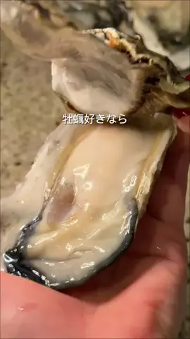 さち コスパ最高のおすすめのTikTok投稿