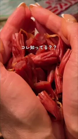 さち コスパ最高のおすすめのTikTok投稿