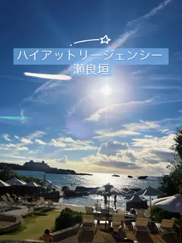 あんずのTikTok投稿