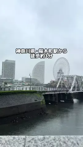 Sample2023のTikTok投稿