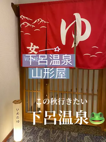 あんずのTikTok投稿